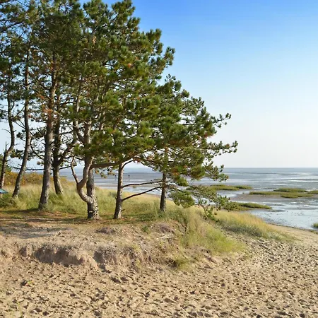 5 Bedroom Pet Friendly In Romo