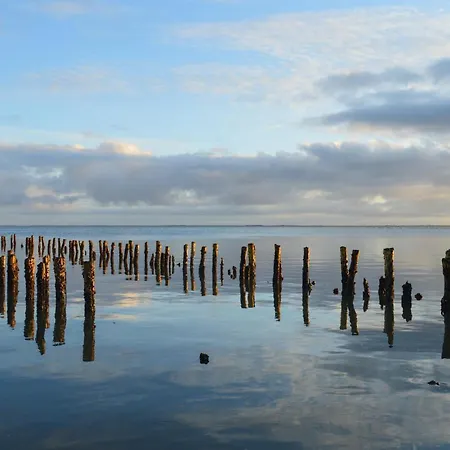 5 Bedroom Pet Friendly In Romo *