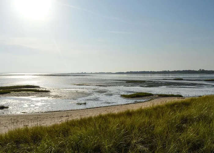 5 Bedroom Pet Friendly In Nyaraló *